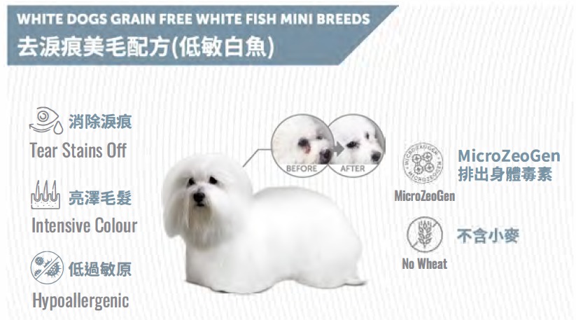 np-white-dog-white-fish.jpg